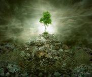 Green concept as a leaf tree on top of mountain heap of garbage with r